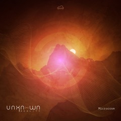 PREMIERE : Unknown Reality - Microcosm  (Original Mix) [Sofa Beats]