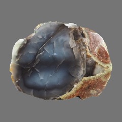 лиза фикус в саду камней