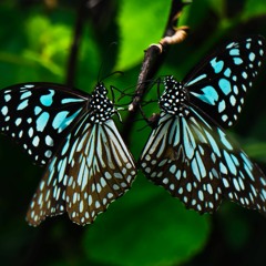 Cool Down Deep Melodic Mix