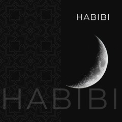 Kekko ferrero / Lapetina / Muhammad wajid - Habibi (Tony Deluca mash)