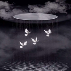 Flying Free