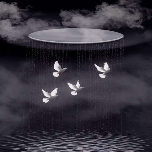 Flying Free