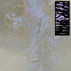 HDNZ001 - Ascensionist & Sirenik - Previews
