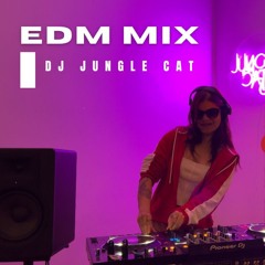 Ultimate EDM mix by DJ Jungle Cat