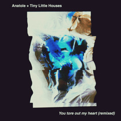 You Tore Out My Heart (Anatole Remix)
