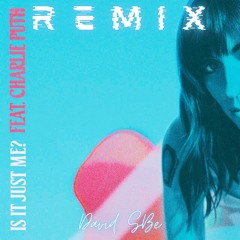 Sasha Alex Sloan & Charlie Puth - Is It Just Me? [David SB Remix]