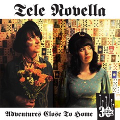 Tele Novella - Adventures Close To Home (The Raincoats)