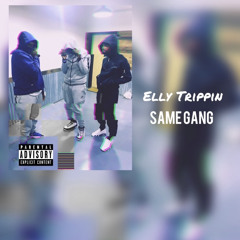 Edai II.3- Same Gang