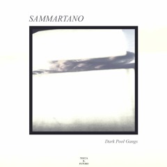 Sammartano - Dark Pool Gangs