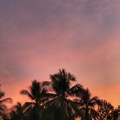 Idontwannabeyouanymore- Billie Eilish cover