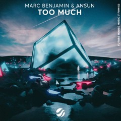 Marc Benjamin & Ansun - Too Much
