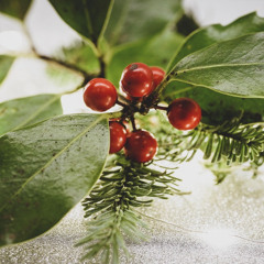 Firs and Hollies Waltz