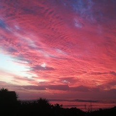 8. African nite sky with Ma's Krikit friends