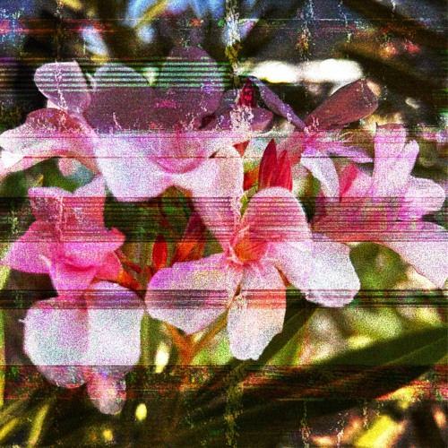 FullTheRily (Ferily, Full Throttle, Thexta) - Never Let You Go