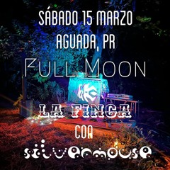 2025.03.15 Silvermouse Live at Finca Maravilla