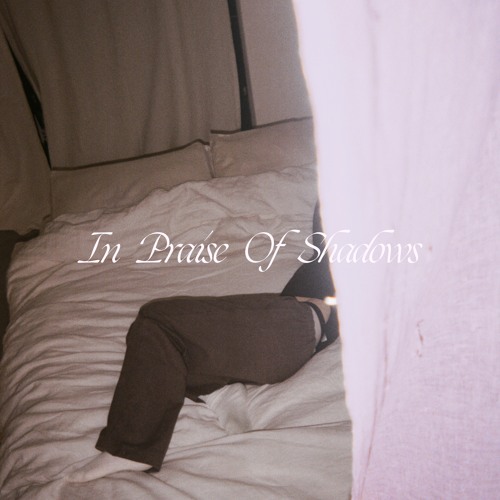 Stream Puma Blue | Listen to In Praise Of Shadows playlist online for free  on SoundCloud
