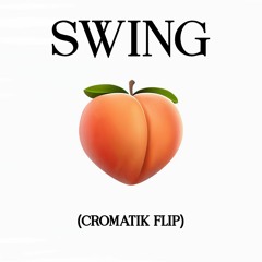 SWING (CROMATIK FLIP)