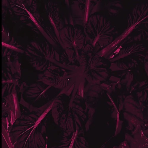 Emo Cowboy Slowed -jaye Soul (prod Phasewave)