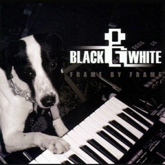 Black & White - Frame By Frame - Retro Active