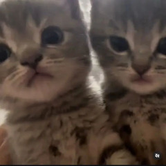 H3RO - BAE (prod.wuski)