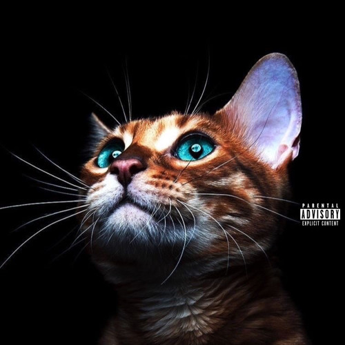 A.N.T - SERÁ? (c: NELSSIMO & OJ)