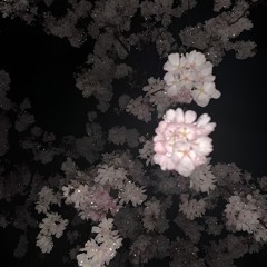 またあかやわ