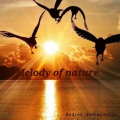 Andrea Gambardelli - Melody of nature