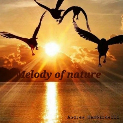 Andrea Gambardelli - Melody of nature