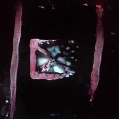 K391 - Lonely World (7BM Remix)