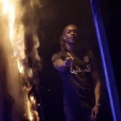 La Rvfleuze - P.I.B
