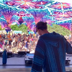 TauriX @wurzelfestival 2024 // ^Closing Set Vibes Wurzelfloor^