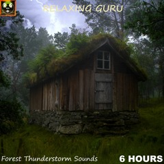Relaxing Rain & Thunder on a Wooden Hut deep in the Forest - Thunderstorm Sounds for Sleep (6 HOURS)