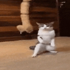 gdzie on jest [prod.mobilet]