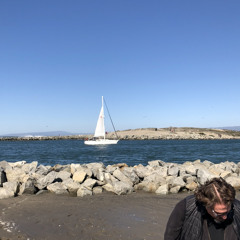 Hermit Crab