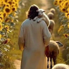 مال إلي وسمع صراخي - خدمة السماء على الأرض - مصر