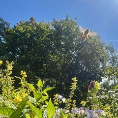 Hold Me (Original Mix) [Free D/L]