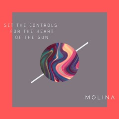 Set The Controls For The Heart Of The Sun
