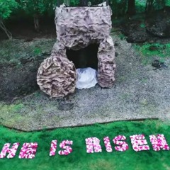 my coptic english songs