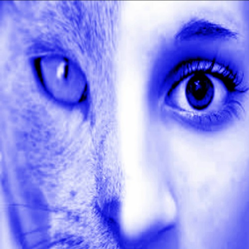 Stream LIKE A LONG TAILED CAT (in A Room Full Of Rocking Chairs) by