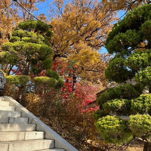 연우주여나의마음언제나