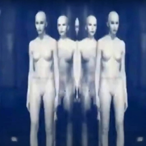 The NTT - The Hurry To Wait