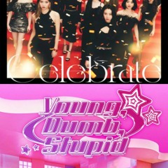 Celebrate - TWICE (트와이스)  /  Young, Dumb, Stupid - NMIXX