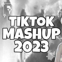 TikTok Mashup 2023