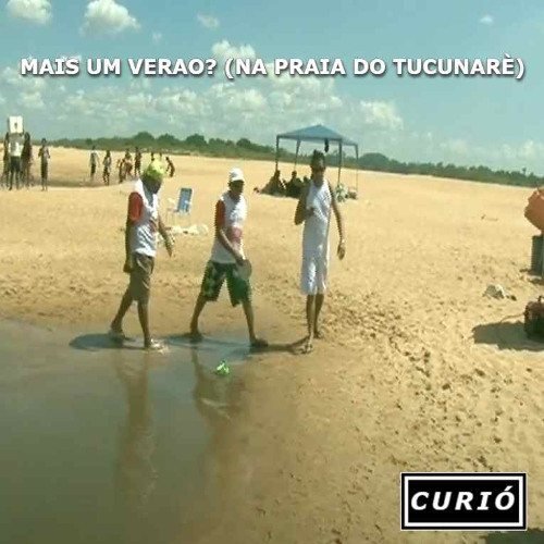 Colega de Quarto