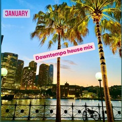 January: Downtempo House Mix