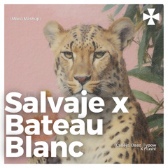 Salvaje x Bateau Blanc [FREE DOWNLOAD]