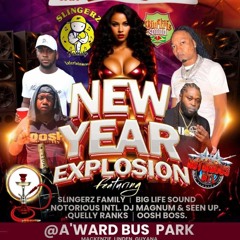 NOTORIOUS INT SOUND IN LINDEN "NEW YEARS DAY 2025"DJ MAGNUM🇬🇾//SEENUP🌎.mp3