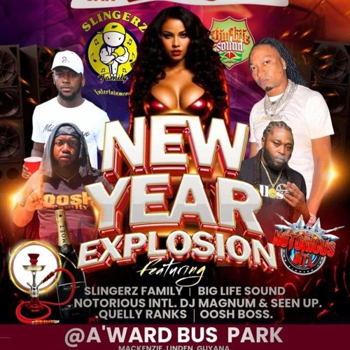 NOTORIOUS INT SOUND IN LINDEN "NEW YEARS DAY 2025"DJ MAGNUM🇬🇾//SEENUP🌎.mp3