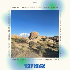 TAYHDSN: VIBES IN JOSHUA TREE