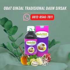 Obat Ginjal Tradisional Daun Sirsak Madu KMK (0812-8546-7811)